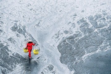 Bild der Petition Personal und Krankenhäuser statt Isolation, Rezension und Schulden