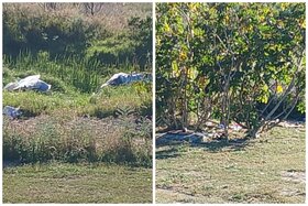 Image of the petition: Petition: Enforce The By-Laws — Address The Encampment Between The Kuils River And Fairtrees Road