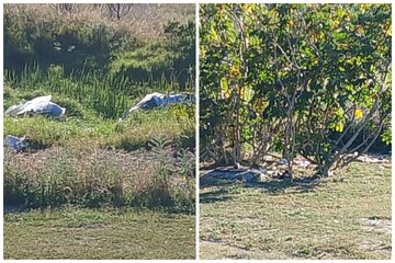 Image of the petition Petition: Enforce The By-Laws — Address The Encampment Between The Kuils River And Fairtrees Road