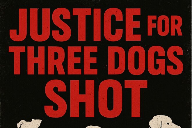 Imagen de la petición Petition For Justice For Three Dogs Shot Inhumanely By Piet Geldenhuys