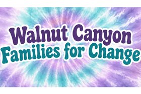 Image of the petition: Petition for the Removal of Yalda Jamal as Principal of Walnut Canyon Elementary School