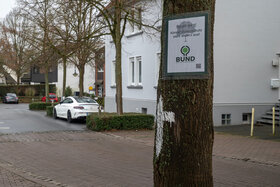 Picture of the petition:Petition für Baum- und Klimaschutz in Enger