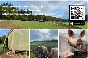 Billede af andragendet:Petition für das «Sauwohl» im Thurgau