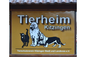 Foto e peticionit:Petition für den Erhalt des Kitzinger Tierheims