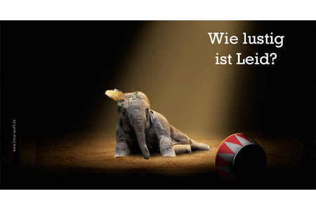 Kép a petícióról:Petition für ein Wildtierverbot in Cloppenburg
