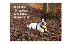 Imagen de la petición:Petition für einen Freiraum für Hunde im Margarethenpark