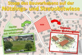 Bild der Petition: Petition gegen das geplante Bauvorhaben auf der "Plasswiese" in Neunkirchen am Sand