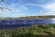 Bild der Petition Petition gegen den Bau einer von der RWE geplanten Freiflächen PV Anlage in Obersteinbeck