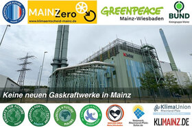 Bild der Petition: Petition gegen den Bau neuer Gaskraftwerke auf der Ingelheimer Aue