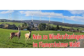Bild der Petition: Petition gegen den Bau von Windkraftanlagen im Flamersheimer Wald.