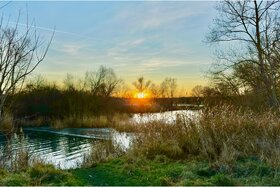 Imagen de la petición: Petition gegen die Errichtung einer Wakeboard-Anlage am Hufeisensee in Halle-Büschdorf