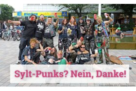 Bild der Petition: Petition gegen die Syltpunks