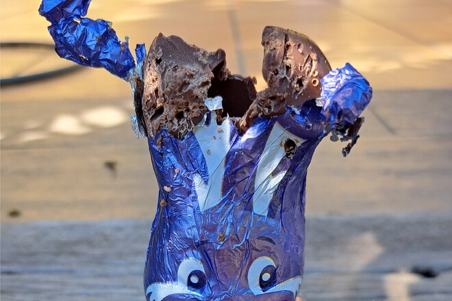 Petition gegen die unkontrollierte Katzenplage խնդրագրի պատկերը