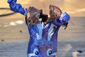 Bild der Petition: Petition gegen die unkontrollierte Katzenplage