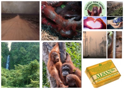 Kuva vetoomuksesta:Petition gegen die Verwendung von Palmöl in Alsan