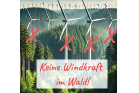 Picture of the petition:Petition: Rettet Niedersachsens Wälder vor dem Windkraft-Ausbau!