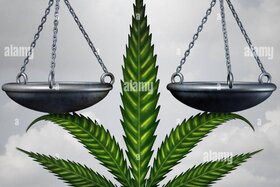 Bild der Petition: Petition zur Legalisierung und vernünftigen Regulierung von Cannabis in Bayern