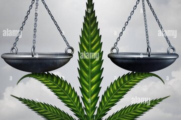 Bild der Petition Petition zur Legalisierung und vernünftigen Regulierung von Cannabis in Bayern