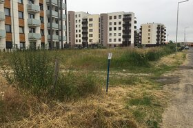 Zdjęcie petycji:Petycja w sprawie utworzenia terenu zieleni przy ulicy Miętowej w Środzie Wlkp.