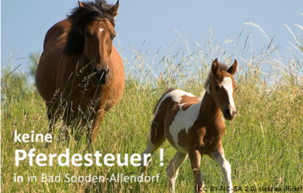 Photo de la pétition :Pferdesteuer in BSA