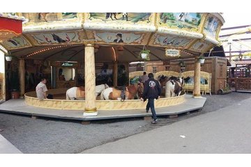 Bild der Petition Ponyreiten auf dem Erbacher Wiesenmarkt sofort einstellen