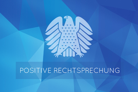 Bild der Petition Positive Rechtsprechung