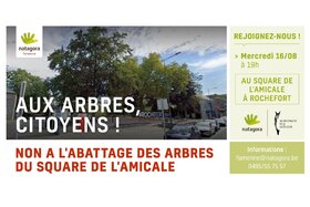 Foto van de petitie:Pour le maintien des arbres et la pose d’un revêtement perméable au Square de l’Amicale (Rochefort)