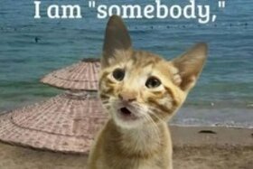 Beeld van die petisie: Pravda i pomoč za lutalice