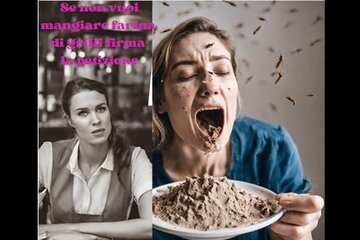 Imagen de la petición Preserviamo la Tradizione: Contro la Sostituzione della Farina di Grano con quella di Grilli in dife