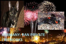 Billede af andragendet:Privates Feuerwerk in Deutschland verbieten
