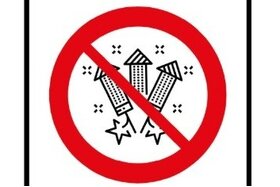 Image of the petition: Privates Feuerwerkverbot in 8302 Kloten