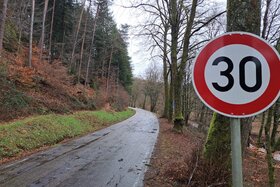 Bild der Petition: Pro Sanierung der Landstraße L475 zwischen Thaleischweiler-Fröschen und Wallhalben