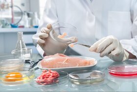 Image of the petition: Продукты на анализ