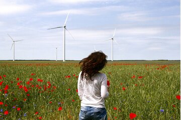 Bild der Petition Profit-Beteiligungsgesetz zur besseren Akzeptanz von Windkraftanlagen