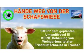 Slika peticije:ProFreiluftschneise – Für den Erhalt der letzten Freiluftschneise in Weingarten und den Klimaschutz