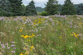 Image of the petition: Protect the Commonwealth of PA and Residents from the Harms of Unregulated Data Centers