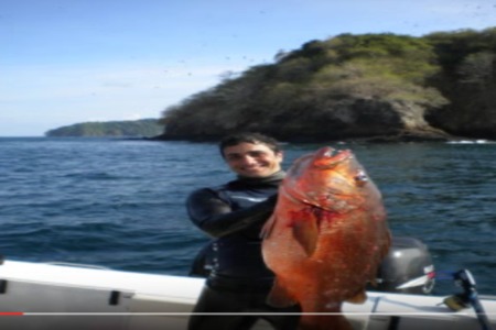 Imagen de la petición:Fishery conservation in PANAMA