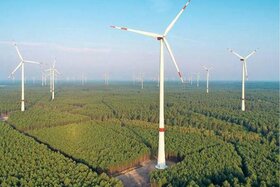 Immagine della petizione: Protest & Einwand gegen die Errichtung von Windkraftanlagen Stadt Ludwigsfelde