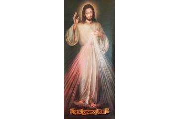 Bild der Petition Protest gegen den Synodalen Weg