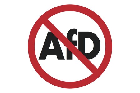 Bild der Petition Die AfD gefährdet die demokratische Grundordnung der Bundesrepublik Deutschland