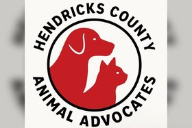 Obraz petycji: Public Evening Meeting Request