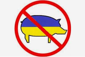 Image of the petition: Punish Ukraine for discrimination based on gender and race during war