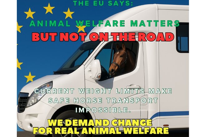 Afbeelding van de petitie Raise the Weight Limit - Let Us Transport Our Horses Safely