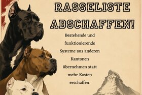 Bild der Petition: Rasseliste im Kanton Wallis abschaffen, richtige Lösungen finden!