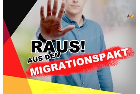 Picture of the petition:Raus aus dem UN-Migrationspakt