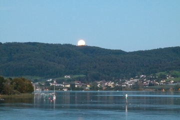 Bild der Petition Reaktivierung des sozialen Wohnungsbaus, bzw. mehr Schutz für Bestandsmieten