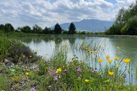 Bild der Petition: Recht auf vollständige Aufklärung über ALLE Behandlungsoptionen für Krebspatient:innen