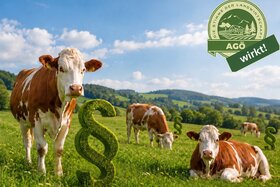 Bild der Petition: Rechtsprüfung Landwirtschaftsgesetz