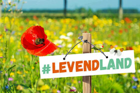 Photo de la pétition :Red de boerennatuur: teken voor een leefbare landbouw in een levend land