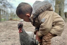 Dilekçenin görseli: Red de Schoolhoeve